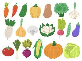 groot reeks van vlak verschillend groenten Aan een wit achtergrond. tekenfilm verschillend pictogrammen vector