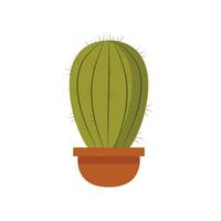 ronde cactus in pot geïsoleerd illustratie. sappig voor interieur van kantoor, appartement en terrein. kamerplant met doornen hand- getrokken. vector