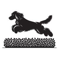 hond - cocker spaniel jumping over- haag illustratie in zwart en wit vector