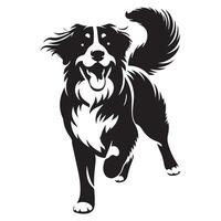 hond - een opgewonden bernese berg hond gezicht illustratie in zwart en wit vector