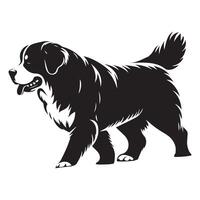 hond - een bernese winters dwalen illustratie in zwart en wit vector