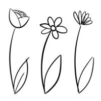 drie gemakkelijk lijn kunst bloemen tekening vector