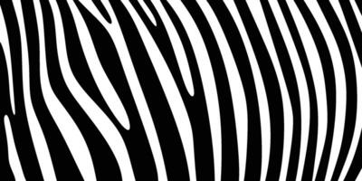 tekening van zebra patroon vector