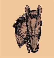 vintage illustratie paardenhoofd met gravure stijl vector