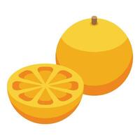 vers citrus illustratie geheel en gesneden oranje vector