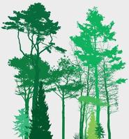 beeld van de natuur. boom silhouet. eco-banner. vectorillustratie. vector