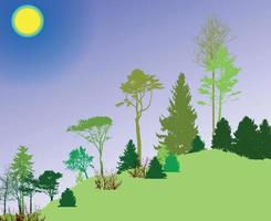 beeld van de natuur. boom silhouet. eco-banner. vectorillustratie. vector