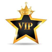 VIP-ledenkaart vectorillustratie vector