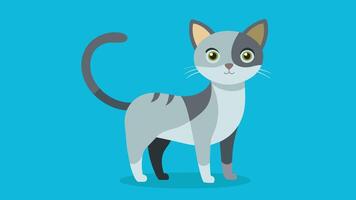 miauw-waardig kat illustratie perfect grafiek voor uw ontwerpen vector