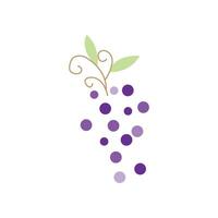 druif logo, tuin vector, vers Purper fruit, wijn merk ontwerp, gemakkelijk illustratie sjabloon vector