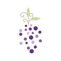 druif logo, tuin vector, vers Purper fruit, wijn merk ontwerp, gemakkelijk illustratie sjabloon vector