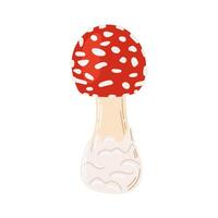 vlieg agaric rood vergiftigen paddestoel. hand- getrokken amanita muscaria. hallucinogeen, psychedelisch Woud paddestoel. modieus vlak stijl magie schimmel geïsoleerd Aan wit illustratie vector