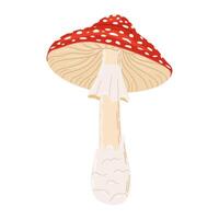 vlieg agaric rood vergiftigen paddestoel. hand- getrokken amanita muscaria. hallucinogeen, psychedelisch Woud paddestoel. modieus vlak stijl magie schimmel geïsoleerd Aan wit illustratie vector