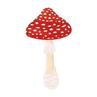 vlieg agaric rood vergiftigen paddestoel. hand- getrokken amanita muscaria. hallucinogeen, psychedelisch Woud paddestoel. modieus vlak stijl magie schimmel geïsoleerd Aan wit illustratie vector