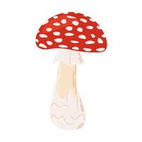 vlieg agaric rood vergiftigen paddestoel. hand- getrokken amanita muscaria. hallucinogeen, psychedelisch Woud paddestoel. modieus vlak stijl magie schimmel geïsoleerd Aan wit illustratie vector