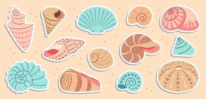 schattig zee schelpen sticker set. modieus vlak stijl zeeschelp verzameling. oceaan onderwater- wastafel zeeschelp schelp aquatisch weekdier. hand- getrokken spiraal slak, marinier dieren. illustratie vector