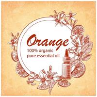 gegraveerde essentieel olie met oranje fruit, bladeren en bloeiend bloemen. hand- getrokken van glas druppelaar fles met citrus aurantium. etiket voor cosmetica, geneeskunde, behandeling, aromatherapie, pakket ontwerp. vector