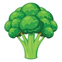 vers en levendig broccoli illustraties toevoegen groen in beroep gaan naar uw ontwerpen vector