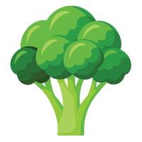 vers en levendig broccoli illustraties toevoegen groen in beroep gaan naar uw ontwerpen vector