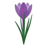 digitaal gemaakt beeld van een helder Purper krokus bloem met groen bladeren vector