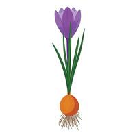 illustratie van Purper krokus bloem met lamp vector