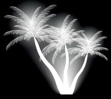 palm silhouet. vectorillustratie. eps 10. vector