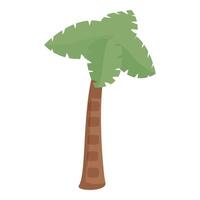 tekenfilm palm boom geïsoleerd Aan wit achtergrond vector