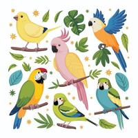 kaketoe papegaai zittend Aan brunch. kleurrijk exotisch vogel met oranje kam in tekenfilm stijl illustratie Aan wit achtergrond. vector