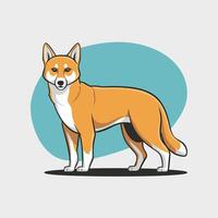 dingo. geïsoleerd illustratie wit achtergrond vector