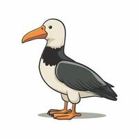 tekenfilm schattig vogel albatros kleurrijk vlak illustratie wit achtergrond vector