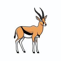 schattig antilope staat Aan een wit achtergrond in tekenfilm stijl. illustratie met Afrikaanse dier. vector