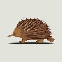 schattig echidna vlak kleur illustratie Aan wit achtergrond. schattig tekenfilm karakter voor animaties en illustratie. vector