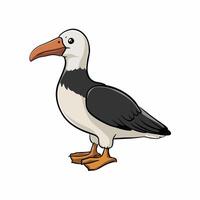 tekenfilm schattig vogel albatros kleurrijk vlak illustratie wit achtergrond vector