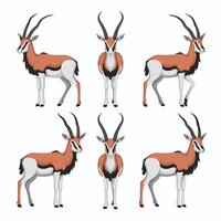 schattig antilope staat Aan een wit achtergrond in tekenfilm stijl. illustratie met Afrikaanse dier. vector