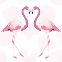 licht roze flamingo illustratie ontwerp vector