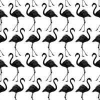 zwart flamingo patroon achtergrond vector