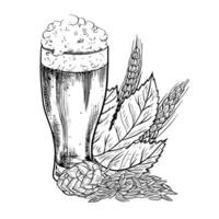 hop, mout, bier glas en bier mok. zwart en wit hand getekend illustratie Aan een wit achtergrond. een ontwerp element voor een kroeg of restaurant menu, etiket en poster, logo en verpakking. vector