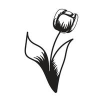 tulp bloem. zwart en wit silhouet van een tulp. een gemakkelijk hand- getrokken icoon. illustratie Aan wit achtergrond. vector