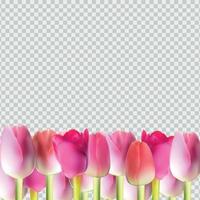 mooie roze realistische tulp op transparante vectorillustratie als achtergrond vector