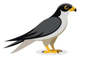 valk vogel vlak illustratie Aan wit achtergrond vector