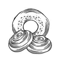 bagel en kaneel broodjes. bakkerij goederen van tarwe met zaden. illustratie lineair, geïsoleerd. schetsen van traditioneel brood voedsel Product. sjabloon voor inpakken, kookboek, menu, vitrine, website. vector