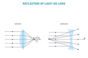 licht breking, convex en hol lenzen vector