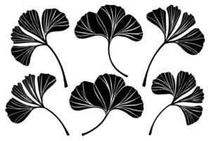 tekening van ginkgo biloba fabriek zwart silhouet vector