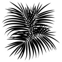 palm blad verzameling zwart blad natuur wit achtergrond vector