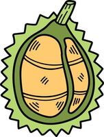 hand- getrokken heerlijk durian illustratie in lijn stijl vector