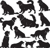 gouden retriever silhouet vector