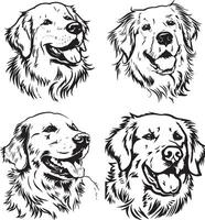 gouden retriever silhouet vector