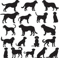 labrador retriever-silhouet vector