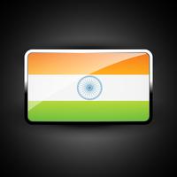 Indiase vlagpictogram vector