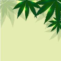 cannabis bladeren achtergrond. vector illustratie